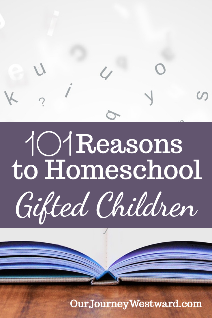 Gifted 101 Reasons