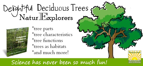 The Delightful Deciduous Tree NaturExplorers study is great for any season!