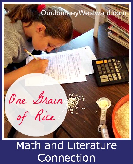 Girl does math on a worksheet with a calculator while counting little grains of rice. For a blog post about math and literature