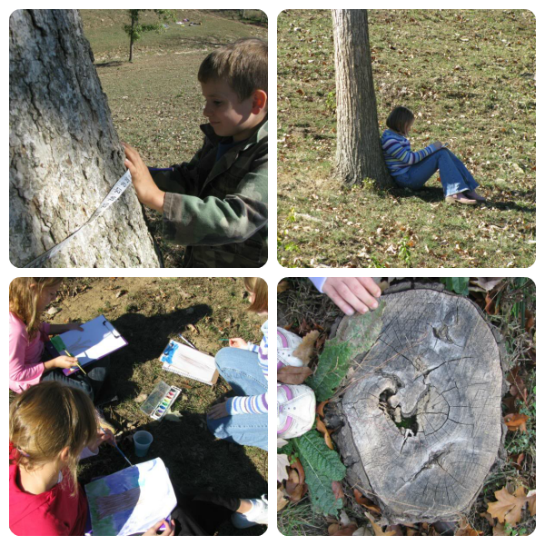 Deciduous Trees Creation Club Activities