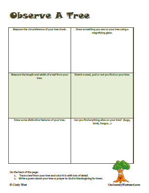 Free "Observe a Tree" notebooking page from ShiningDawnBooks.com