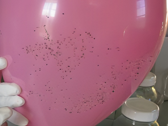 pink balloon with glitter on it