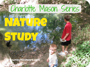 Why Love Nature Study? You'll find many reasons here! Also, learn how to do Charlotte Mason nature study.