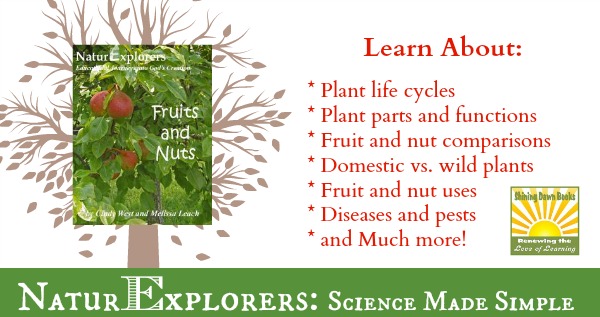 NaturExplorers Fruits and Nuts gives you a bazillion ideas for nature study and/or unit study lessons.