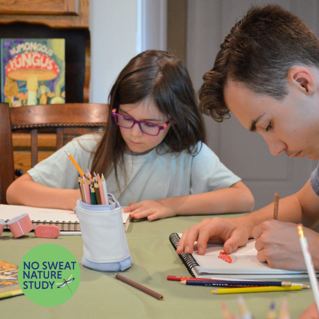 boy and girl using colored pencils to draw in journals
