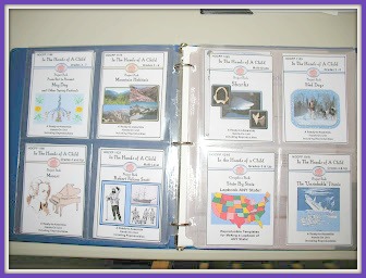 Sheri's E-Book Organization Idea