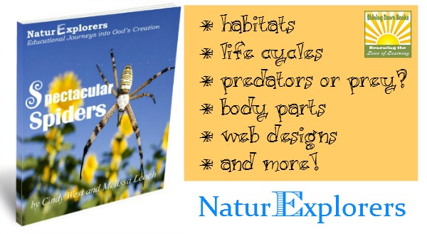 Spectacular Spiders: 25+ Nature Walks and everything you need for a full spider unit study!