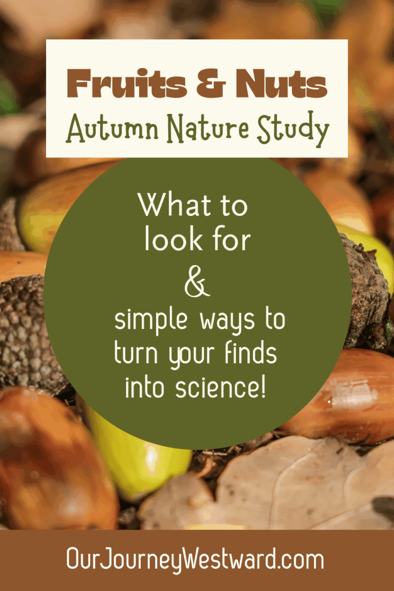 nuts scattered on ground with green, cream, and brown text boxes