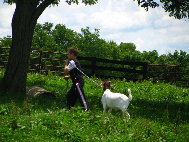 Character building with chores and jobs is a great opportunity in homeschooling.