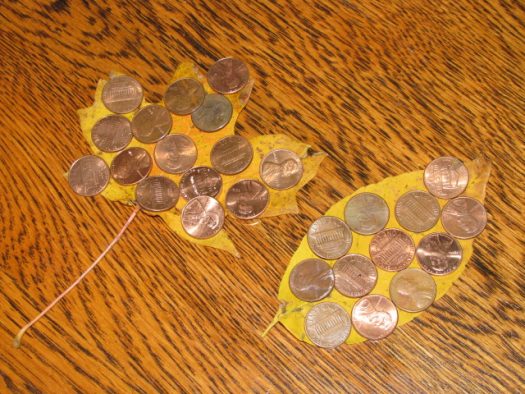 Preschool Leaf Study - Our Journey Westward