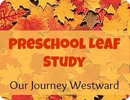 Preschool leaf activity image with colorful leaves in the background