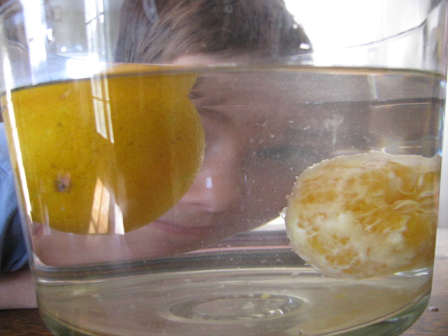 Use oranges and water to demonstrate the importance of girding ourselves with the Armor of God