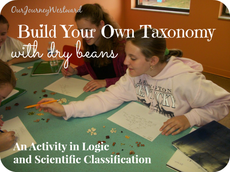 Bean Classification: A Logic and Science Activity for High School