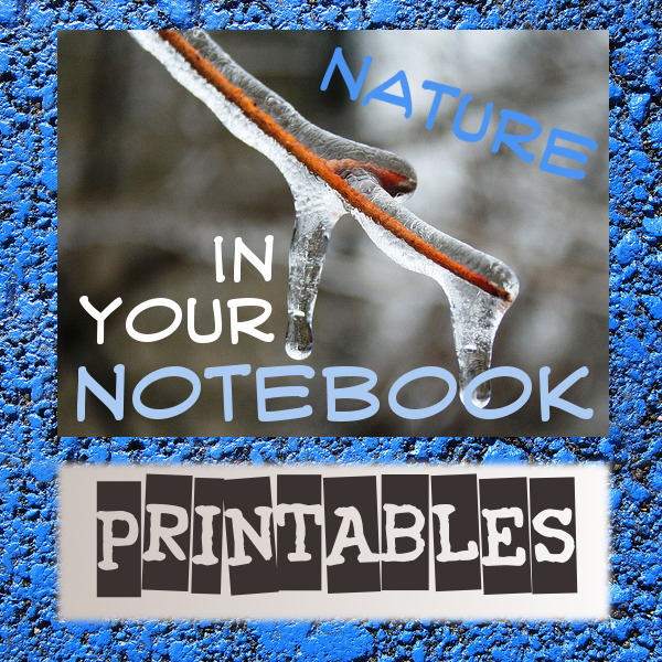 Nature In Your Notebook Printables