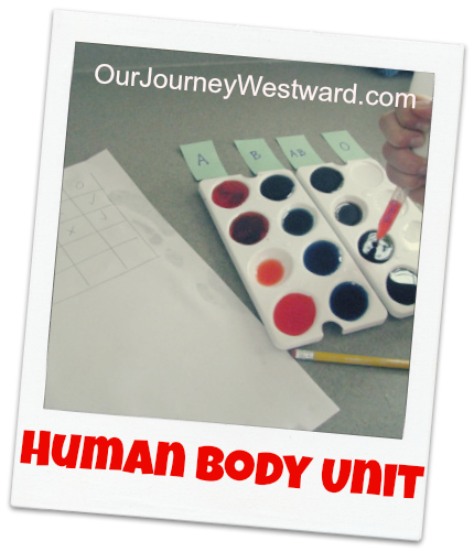 Human Body Unit Study