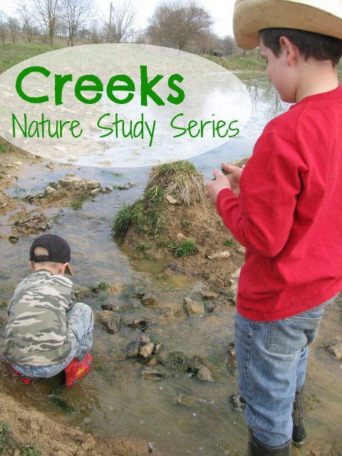 Boys explore a creek. Image is used for a creek nature study series.