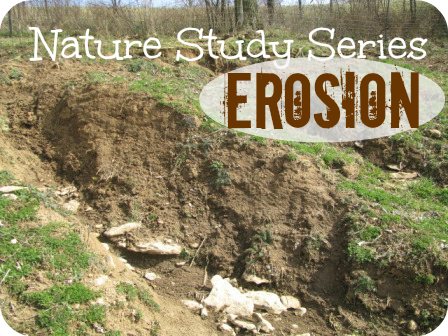 Erosion is a fantastic nature study topic!