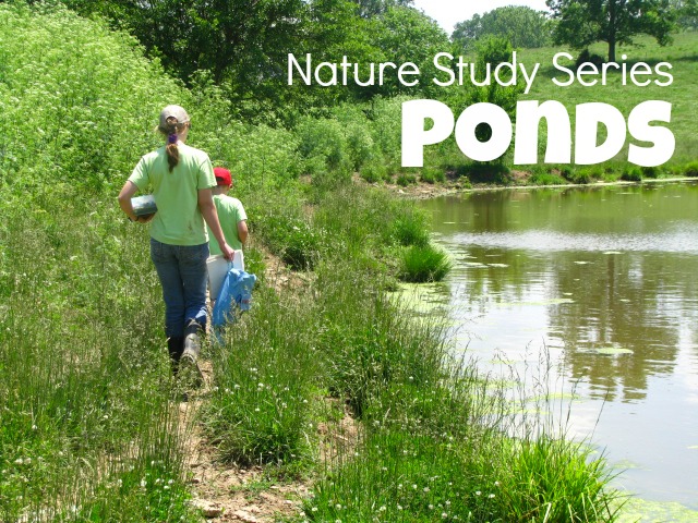 Nature Study – Ponds