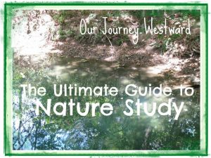 Ultimate Guide to Nature Study by Cindy West