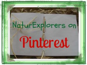 NaturExplorers Pinterest Nature Study Ideas