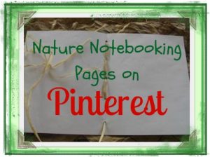 Nature Notebooking Pages