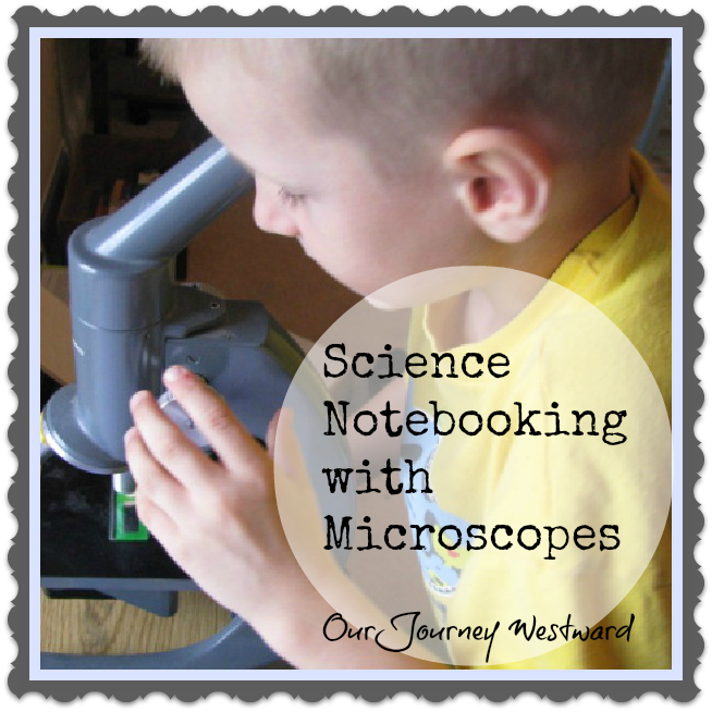 Science Notebooking with Microscopes
