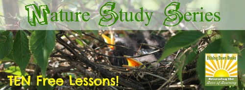 Nature Study Series - Ten Free Lessons from Shining Dawn Books (NaturExplorers )