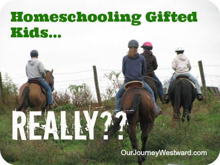 Homeschooling Gifted Kids