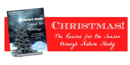 Nature Study Through the Holidays: Advent - An easy, excitiing, way to point your children to the One this Christmas season.