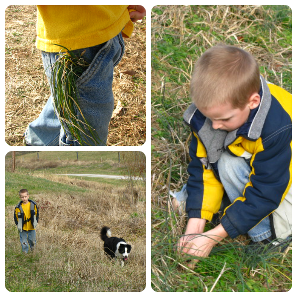 A Christmas Nature Walk Idea from Our Journey Westward