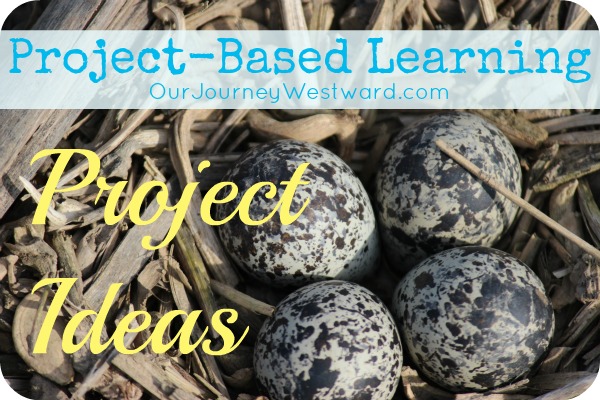 Tons of project ideas for project-based learning