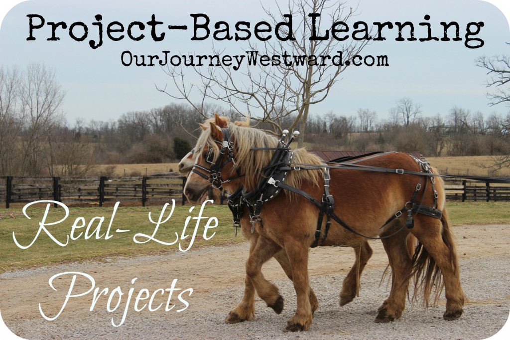 Real-life Projects