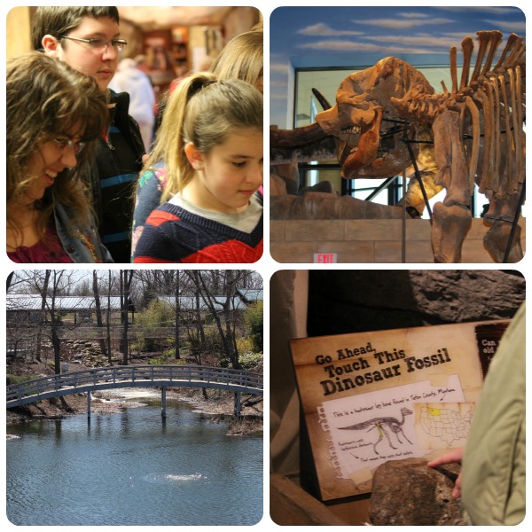 Creation Museum Field Trip