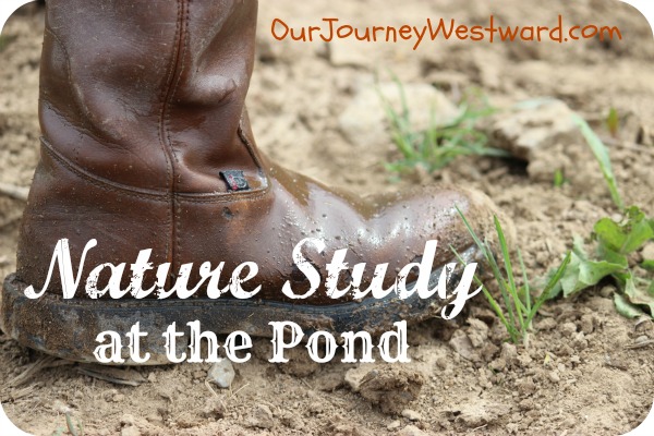 Wet brown boot as a photo for for a blog post about nature study at the pond.