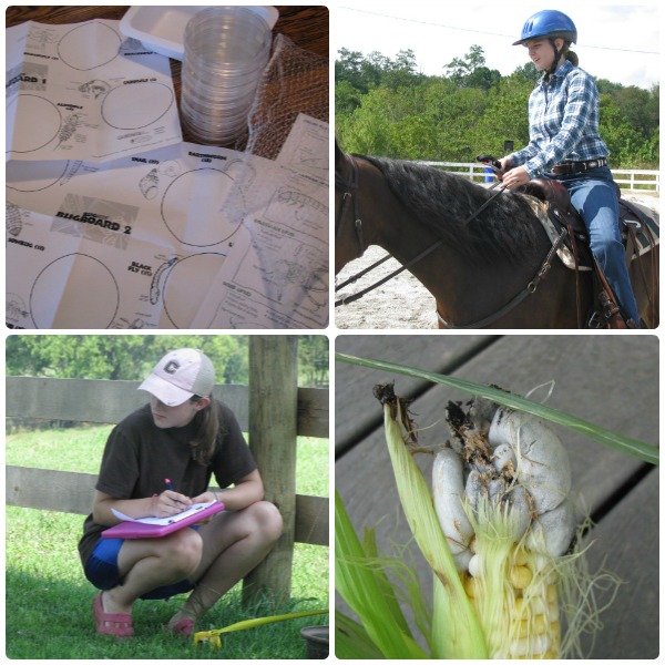 High School Science in the Field Labs