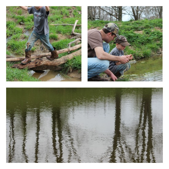 Pond Fun | Our Journey Westward