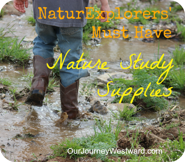 Boy trudges through a stream. For a blog post about nature study supplies