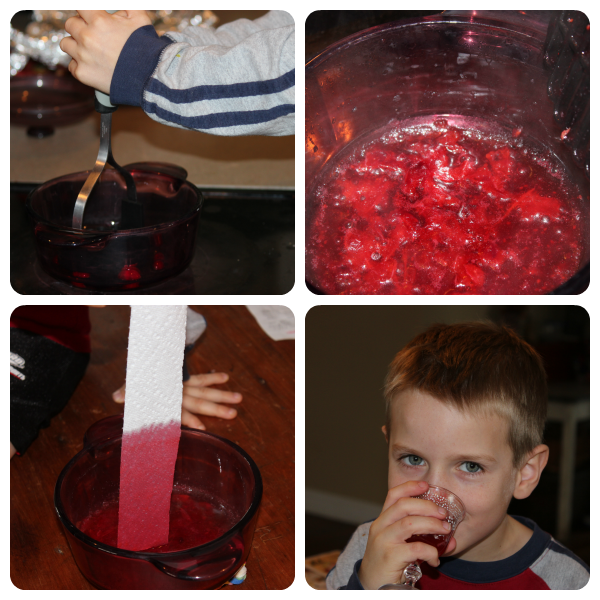 Exploring cranberries - a literature linked science study from Our Journey Westward