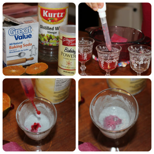 Cranberry Science Experiments for Kids + Literature Connections