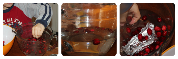 Exploring cranberries - a literature linked science study from Our Journey Westward