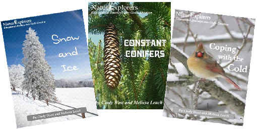 Winter NaturExplorers Bundle