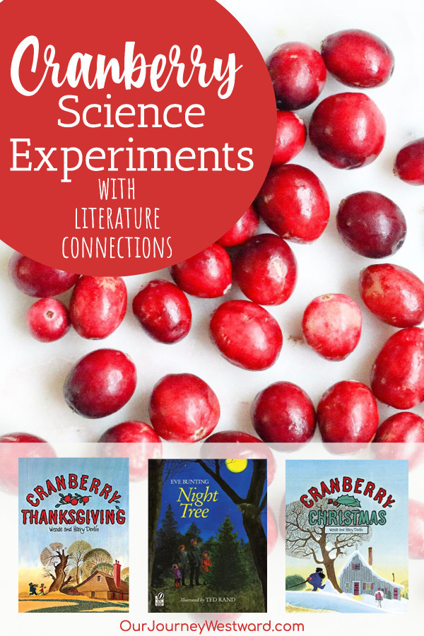 cranberries and children's books advertising a blog post