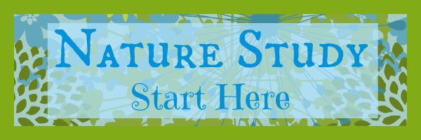 Nature Study Start Here banner with green border.