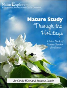 Easter-themed, Christian nature study