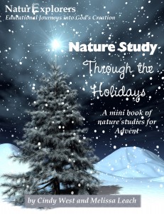 Nature Through the Holidays: Advent