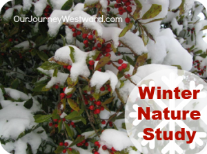 Winter Nature Study is FUN