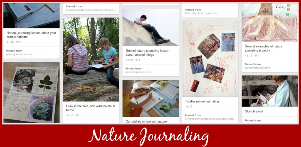 Cindy West's Nature Journaling Pinterest Board