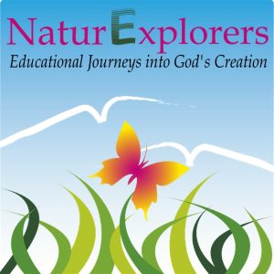 NaturExplorers: Renewing a love for learning through creative nature study curriculum that can be used with any homeschooling style