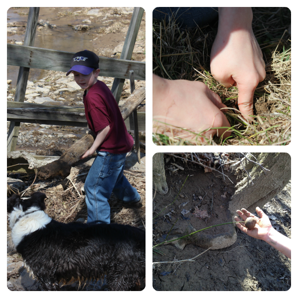 Little boys learn nature actively through their five senses. Let them learn. They'll love it