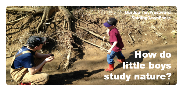 An image of boys exploring a muddy creek bed. Image is for a blog post on how little boys study nature.